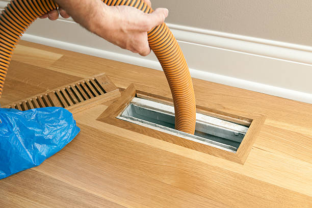 Best Air Vent Cleaning Services  in Fremont, MI